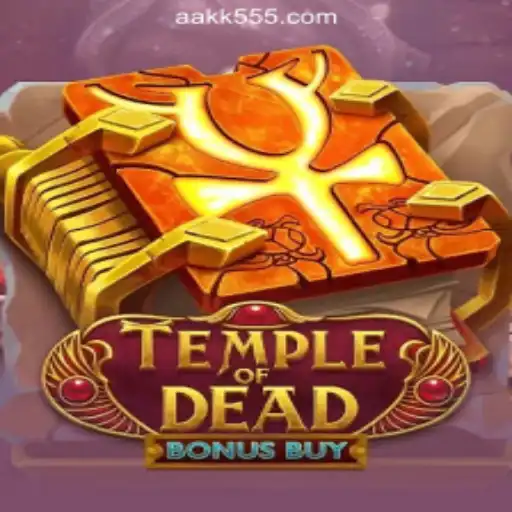 AK-555.com Oficial Slots Brasil #1 User Agreement